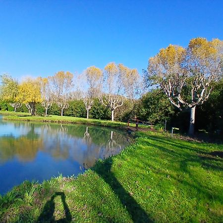 Domaine Du Lac De La Vallee La Roquette-sur-Siagne Buitenkant foto