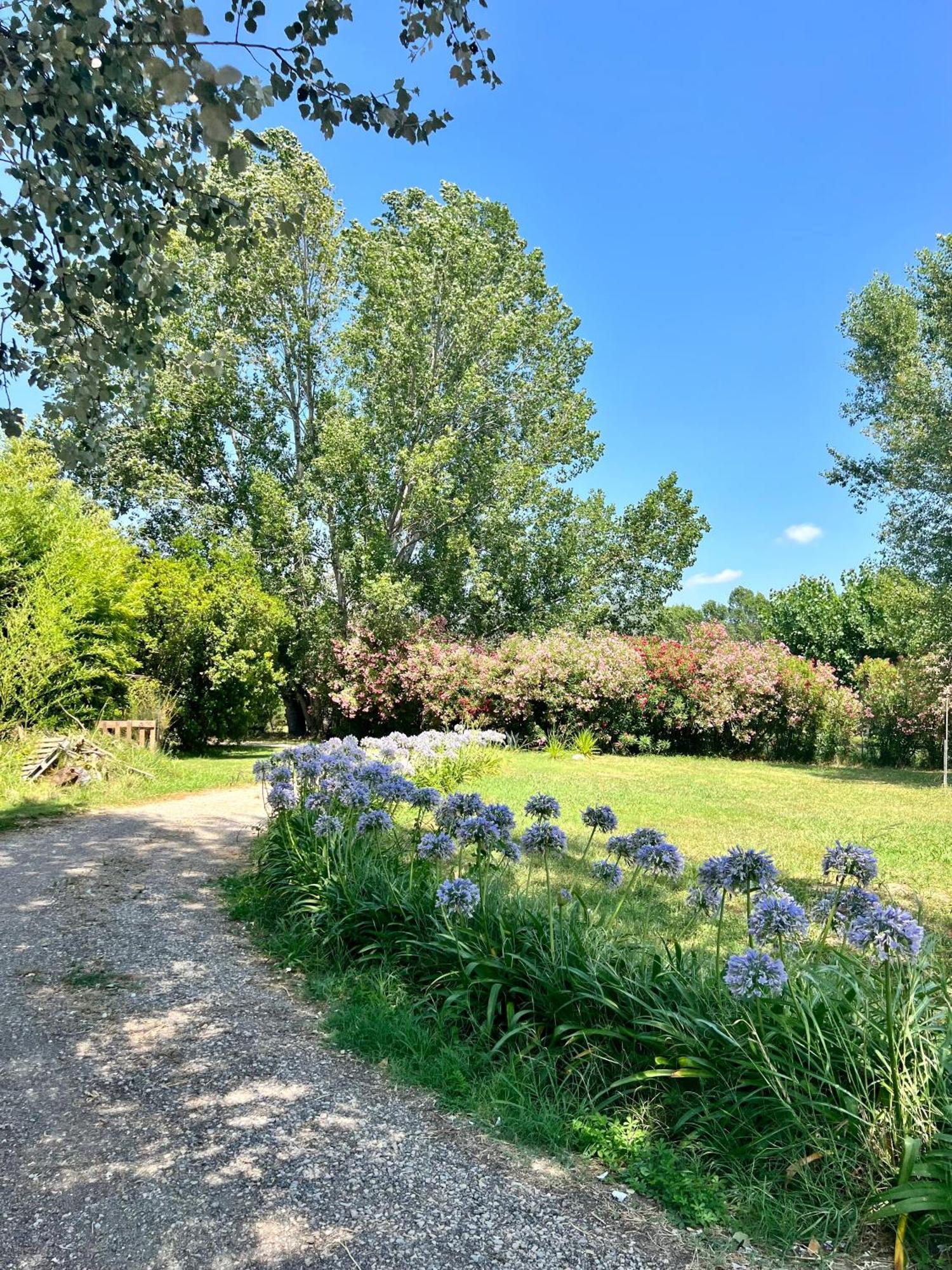 Domaine Du Lac De La Vallee La Roquette-sur-Siagne Buitenkant foto